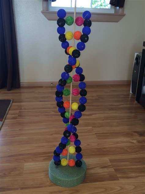 handmade biology models|green balls dna model.